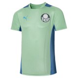 Palmeiras Mint Green Training Jersey Mens 2022/23