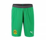 Borussia Dortmund 18-19 Away Goalkeeper Green Soccer Short