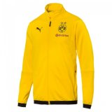 Borussia Dortmund 18-19 High Collar Yellow Jacket