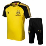 Borussia Dortmund 18-19 Training Short Kit Yellow