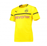 Borussia Dortmund Cup 18-19 Cup Home Yellow Soccer Jersey Shirt