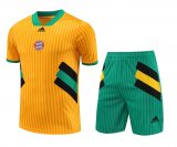 Bayern Munich Yellow Training Jersey + Short Mens 2023/24