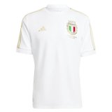 Italy 125th Anniversary Jersey Mens 2023 #Special Edition